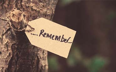 370x230_27.jpg 370x230_27.jpg